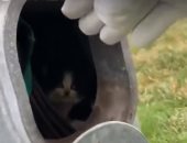 شاهد إنقاذ قطة من داخل عمود إنارة فى مدينة لينكولن الأمريكية