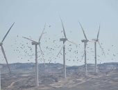 أكبر محطة توليد كهرباء من الرياح بجبل الزيت تحمى الطيور المهاجرة.. اعرف التفاصيل