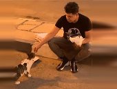 عمر كمال يطعم قطة فى الشارع: جايز تكون سبب دخولى الجنة "صورة"