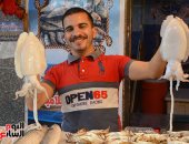 "الرزق يحب الخفية".. سوق الأسماك فى بورسعيد نموذج حضارى (ألبوم صور)