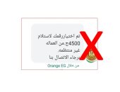 القوى العاملة تجدد تحذيراتها من أساليب النصب بشأن منحة العمالة غير المنتظمة