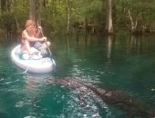 تمساح يهاجم سيدة فى ولاية فلوريدا الأمريكية وتنجو بأعجوبة.. فيديو وصور