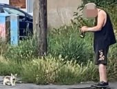 بريطاني يعيش مع 50 قطة شارع والجيران يحتجون: "ظروف معيشتهم سيئة" .. صور