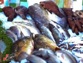 أسعار الأسماك اليوم.. انخفاض ثمن البلطي المزارع