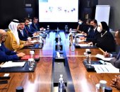 الحكومة المصرية تساند خطط التوسع فى إنشاء محطات الطاقة الشمسية  