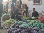 جدعنة المصريين.. شباب قرية بالشرقية يتكفلون باحتياجات الخضروات لـ 120 أسرة