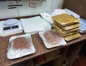 تحرير محاضر خلال حملات تفتيشية على محلات الجزارة والمطاعم بالشرقية.. صور