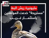 مليونيرة ريش البط.. "مستريحة" خدعت المواطنين باستثمار من نوع آخر (فيديو)
