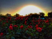 "سلمى" تشارك "صحافة المواطن" بموهبتها فى التصوير