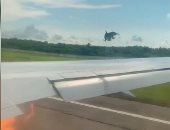 اشتعال محرك طائرة إثر اصطدامها بسرب طيور فى روسيا.. فيديو وصور