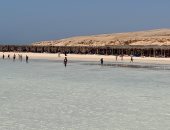 هنا الراحة والهدوء.. شواطئ جزيرة الجفتون تستقبل آلاف السياح يوميا.. صور