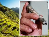 عظام إنسان اللوزون في الفلبين تكشف عن "نوع غير معروف من البشر"