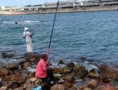 الحياة الطبيعية تنتصر.. صيد سمك وسباحة واستجمام أسفل حريق جليم بالإسكندرية.. فيديو