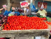 تراجع أسعار الخضروات بالإسماعيلية.. الطماطم والبطاطس بـ 8 والبصل بـ 5.. لايف وصور