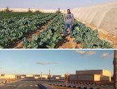 التجمعات التنموية تعيد الحياة لصحراء سيناء.. 11 مجتمعا بوسط أرض الفيروز و7 بوديان الجنوب.. وتوفير مسكن على مساحة 200 متر مع خمسة أفدنة لكل منتفع.. وجميع الوحدات كاملة المرافق والتجهيزات.. صور 