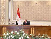 الرئيس السيسى: تعلمت من شقيقى دور ومكانة العدالة في مصر