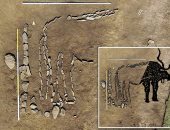اكتشاف رسم ضخم بالحجارة لـ"ثور" فى سيبيريا عمره 4000 عام.. صور
