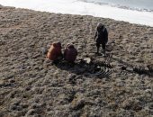 علماء آثار يكتشفون أدلة على عمليات صيد وقعت خلال العصر الحجرى فى روسيا