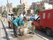 نظافة القاهرة تزين ميدان السيدة زينب وتزرع الأشجار بالشوارع.. صور