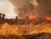 النار تلتهم كل شىء.. مشاهد مفزعة من حرائق الغابات فى الأرجنتين.. فيديو وصور