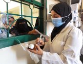 الكشف على 1984 مواطنا ضمن القوافل الطبية لـ"حياة كريمة" بأسوان.. صور