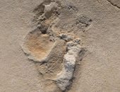 عمرها أكثر من 6 ملايين عام.. اكتشاف أقدم آثار أقدام بشرية فى جزيرة كريت