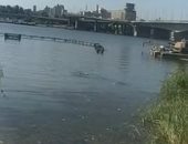 انتشال جثة غريق بنهر النيل فى محافظةالجيزة 