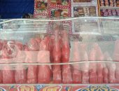 حلاوة زمان عروسة حصان..أهالى أسيوط يحتفلون بالمولد النبوى (فيديو وصور)