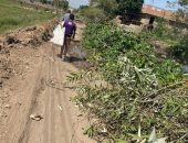 أهالى عزبة خالد بقليوب يطالبون بشبكة كهرباء وتمهيد الطريق.. والمحافظ يرد