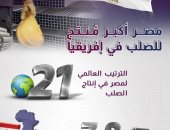 معلومات الوزراء: مصر أكبر منتج للصلب فى أفريقيا 