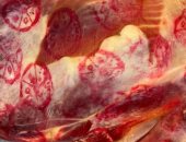 ضبط دواجن ولحوم غير صالحة للاستهلاك فى الغربية