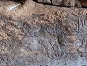 علماء الآثار يكتشفون نقوشا حجرية تعود إلى العصر الحجرى بتركيا