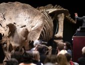 بيع أكبر ديناصور "ترايسيراتوبس" مكتشف مقابل 6.6 مليون يورو فى مزاد باريس
