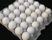 استقرار أسعار البيض فى الأسواق عند 48 جنيها للكرتونة
