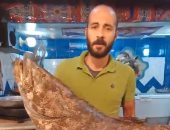 سمكة الوحش بـ1500 جنيه.. سمكة مرعبة في سوق السويس.. وزنها 17 كيلو.. لايف