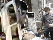 مصرع 8 أشخاص وإصابة 10 آخرين فى حادث تصادم سيارتين بطريق أبوسمبل.. محافظ أسوان يتابع التداعيات ويوجه بتقديم الرعاية الطبية اللازمة.. والسكرتير المساعد يزور المستشفى.. وننشر أسماء المصابين