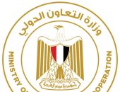 التعاون الدولى: برنامج الإصلاح الاقتصادى مكن مصر من تفعيل خطط الربط الكهربائى