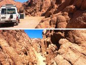 8 أنشطة يمكنك الاستمتاع بها فى محمية نبق جنوب سيناء.. تعرف عليها