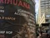 أوروجواى تدرس بيع الحشيش فى الصيدليات للسياح الأجانب