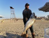 فرحة كبيرة بعد سقوط سمكة "لاج" في شباك صيادين بورسعيد.. صور