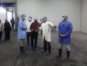 حملات مكبرة على المصانع و القطاع الصيدلى بحى العامرية غرب الإسكندرية