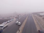 احذر الشبورة.. إدارة مرور القليوبية تناشد السائقين توخى الحذر.. لايف