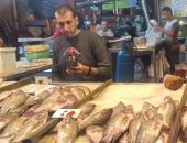 الكيلو بـ10 جنيهات.. حكاية أرخص سمكة فى سوق الإسكندرية وفوائدها.. فيديو وصور