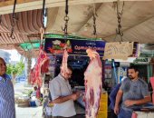 تحرير 60 محضراً والتحفظ على لحوم مذبوحة خارج المجازر الحكومية ببنى سويف