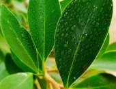 "مارتينا" تبدع في فن التصوير بلقطات مختلفة  