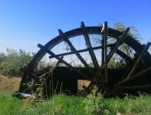 وزير الزراعة ومحافظ الفيوم يفتتحان مركز تجميع الألبان بإطسا