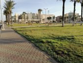 انقشاع الشبورة المائية وطقس معتدل بمحافظة بورسعيد.. لايف وصور