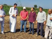زراعة كفرالشيخ: متابعة وتجهيز الحقول الإرشادية لمحصول القمح
