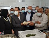 رئيس الوزراء يوجه بإعداد خطة متكاملة لإعادة تفعيل إنتاج الحرير من دودة القز
