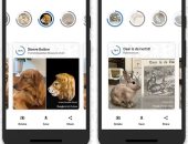جوجل تطلق ميزة جديدة تكشف عن اللوحات الشهيرة الشبيهة بالحيوانات الأليفة